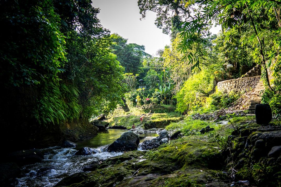 Hiring a driver in Ubud