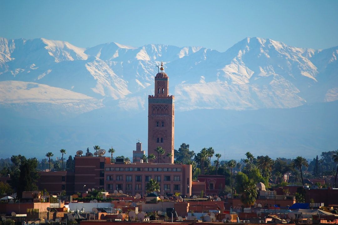 Official versus unofficial guides in Marrakech