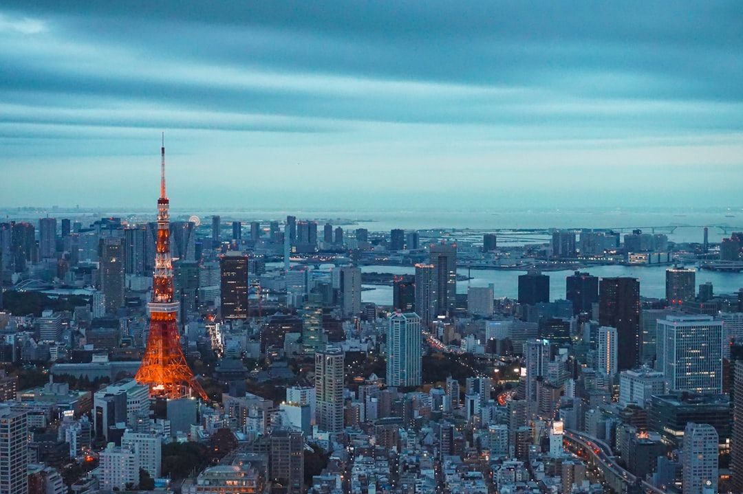 Where a tour genuinely makes sense in Tokyo