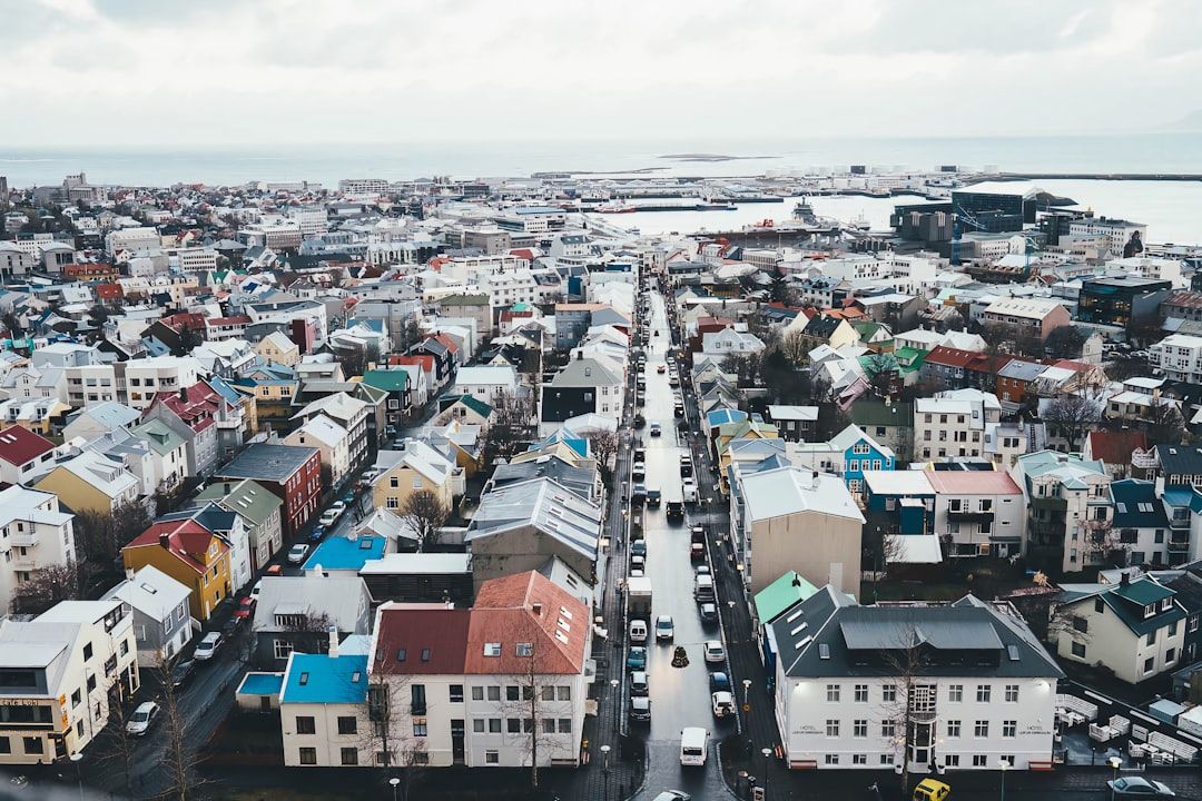 Take a tour for these in Reykjavik