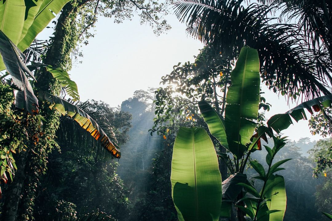 The Batur sunrise trek in Ubud